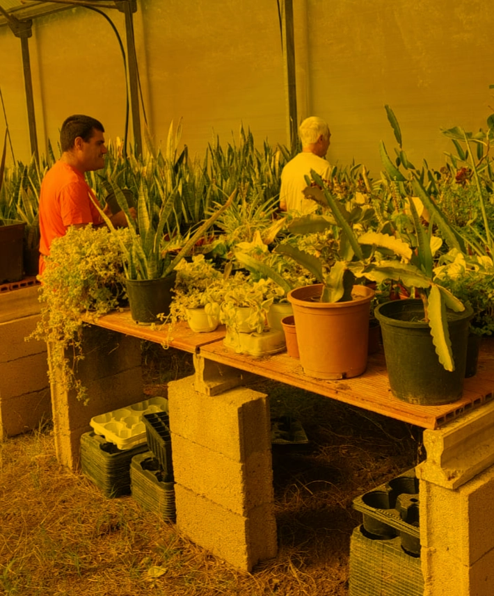 Personas entre las plantas de un invernadero.